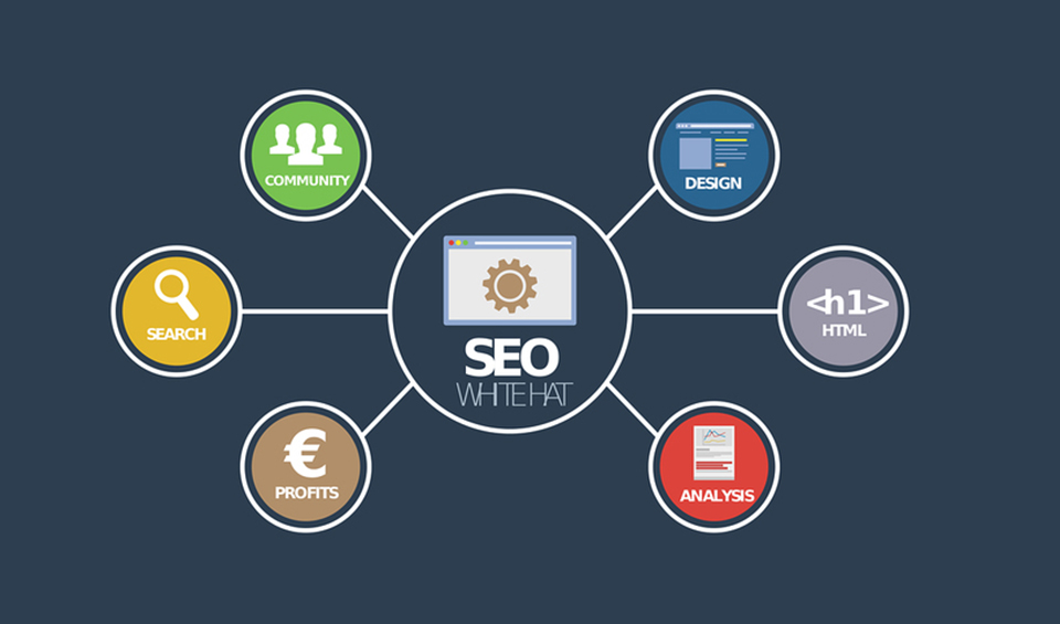 搜索引擎優(yōu)化推廣